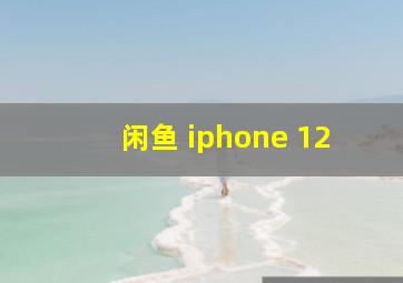 闲鱼 iphone 12